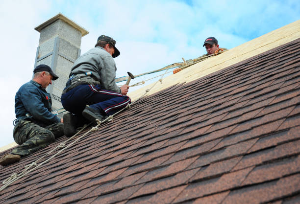 Quick and Trustworthy Emergency Roof Repair Services in Ocilla, GA