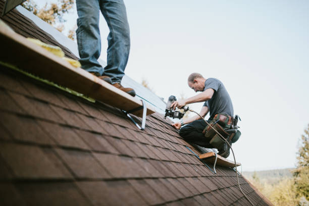 Professional Roofing Contractor in Ocilla, GA